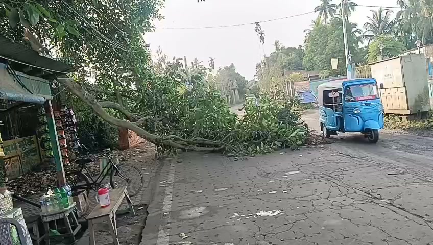 বারুইপুর কীর্তনখোলা শ্মশান রোডে ভেঙে পড়ল বিশাল গাছের ডাল:... - ছবি 1
