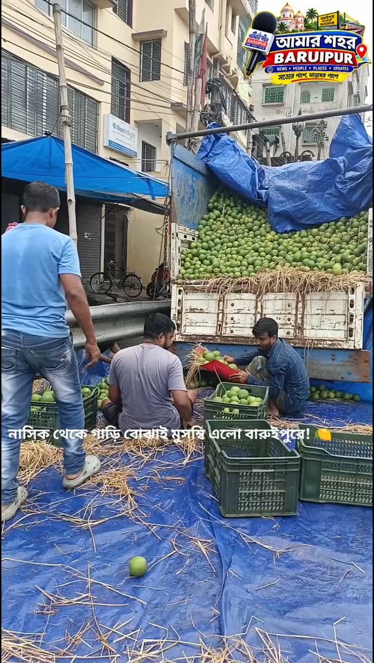 পুজোর মুখে নাসিক থেকে বারুইপুর বাজারে এল গাড়ি বোঝাই টাটকা... - ছবি 2