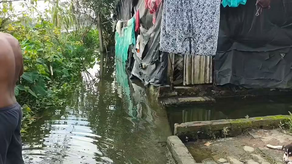 এখনো জলমগ্ন বারুইপুর পৌরসভার একাধিক ওয়ার্ড, চরম দুর্ভোগে... - ছবি 2