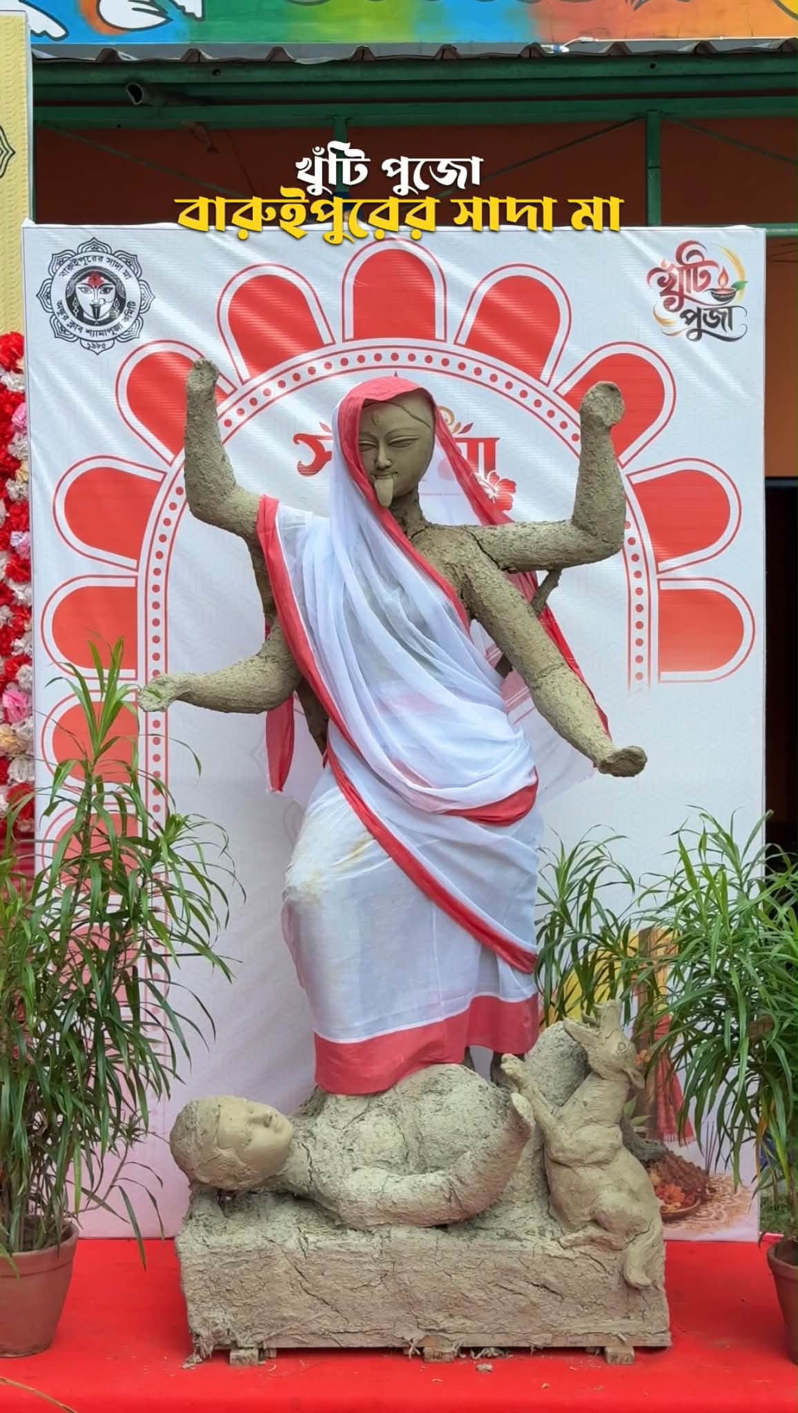 পদ্মপুকুর অঙ্কুর ক্লাবের ঐতিহাসিক সাদা কালী মায়ের পুজো উ... - ছবি 2