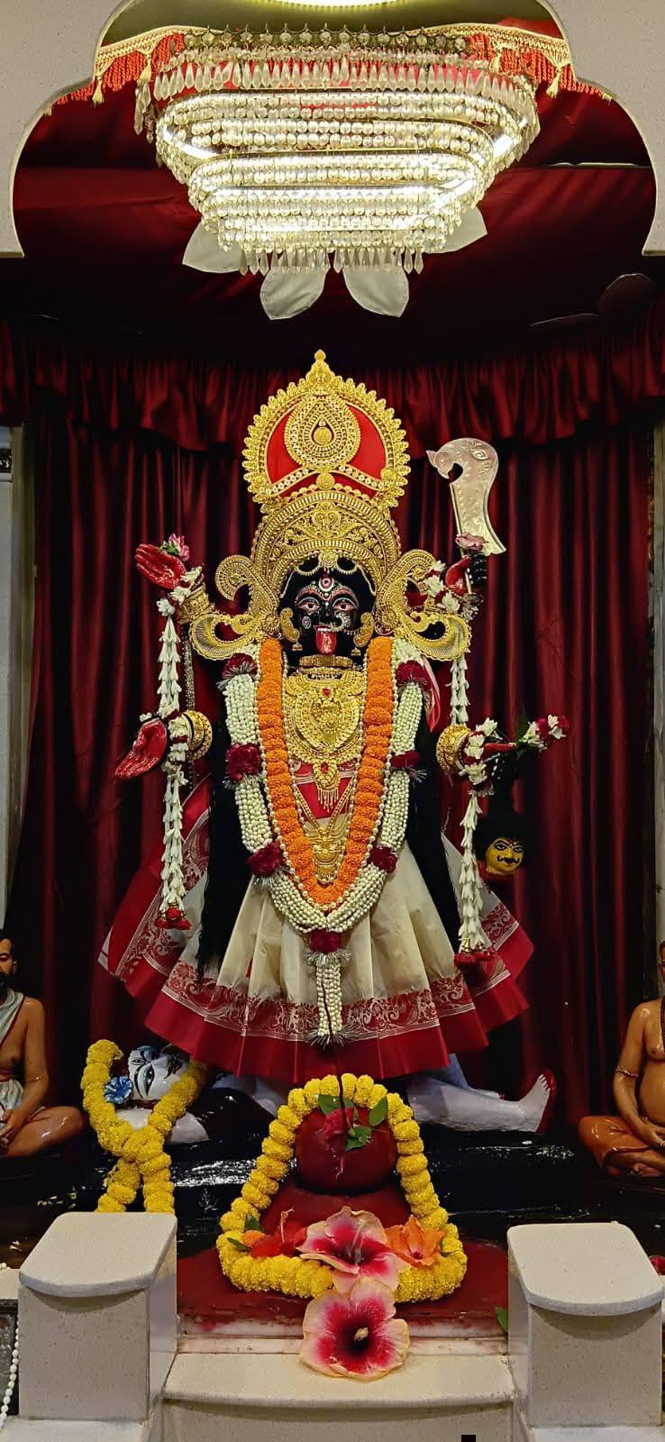 বারুইপুর মা শিবানী পীঠের দুর্গোৎসব: ঐতিহ্যবাহী শক্তিপীঠে ... - ছবি 18