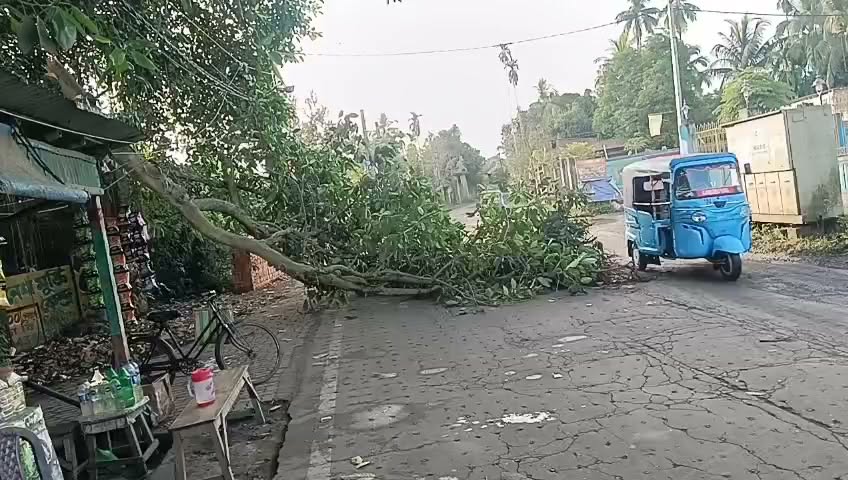 বারুইপুর কীর্তনখোলা শ্মশান রোডে ভেঙে পড়ল বিশাল গাছের ডাল:... - ছবি 2