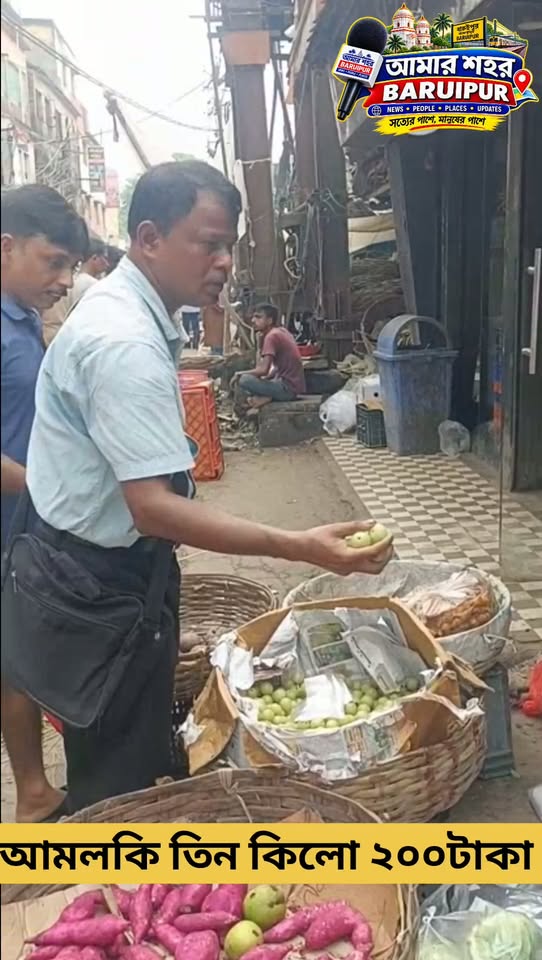 বারুইপুর কাছারি বাজারে আজ জলের দামে টাটকা আমলকি - ছবি 2