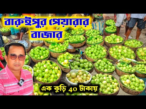 বারুইপুর পেয়ারা ব্যবসায়ী ও চাষী সমবায় সমিতি
